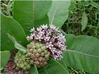 a183764d-Picture 057.jpg